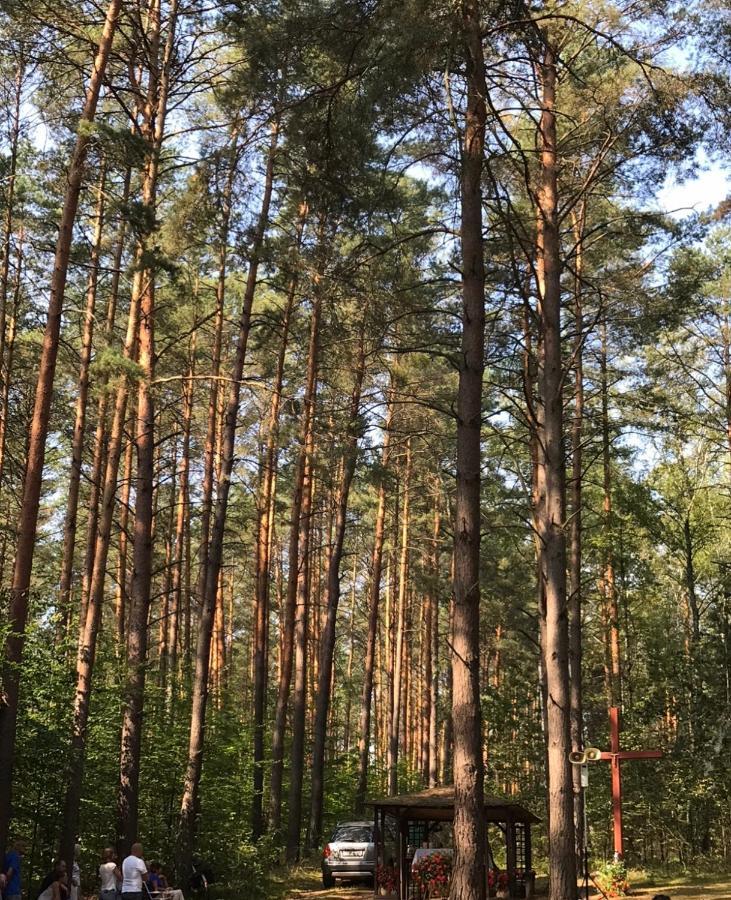 Domek Franianiesulice Kültér fotó